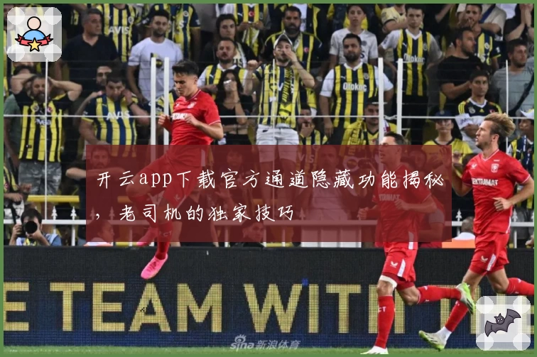 开云app下载官方通道隐藏功能揭秘，老司机的独家技巧