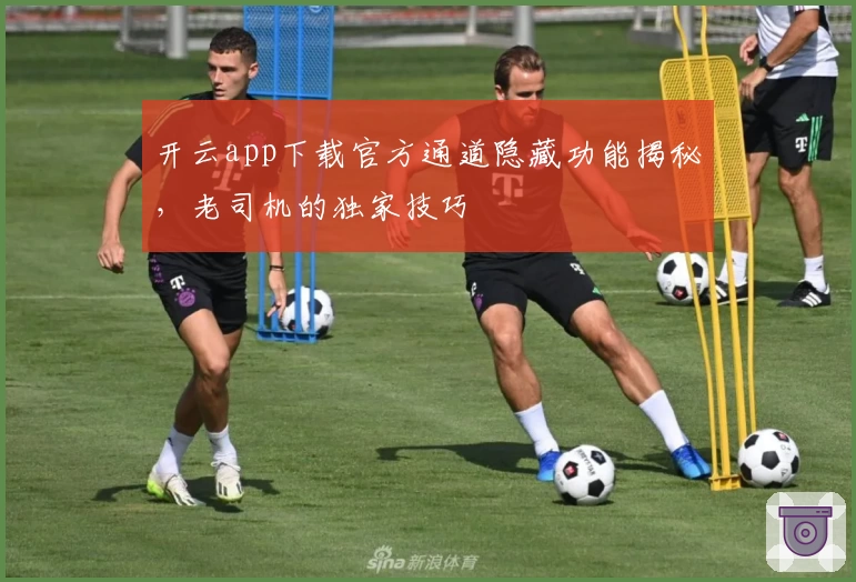 开云app下载官方通道隐藏功能揭秘，老司机的独家技巧