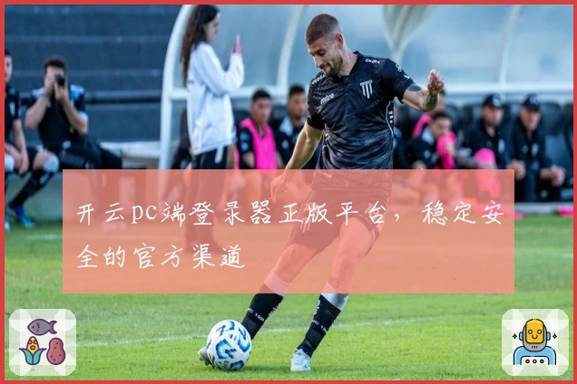 开云pc端登录器正版平台,稳定安全的官方渠道