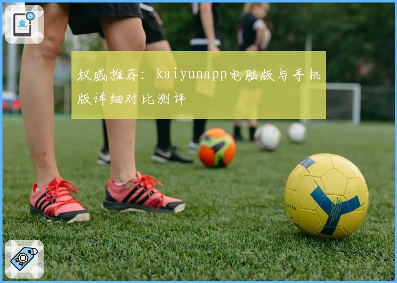 权威推荐：kaiyunapp电脑版与手机版详细对比测评
